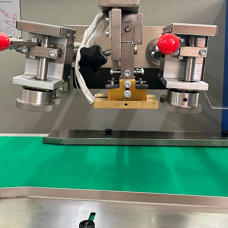 Automatyczna maszyna do pakowania warzyw/świeżych owoców w worki