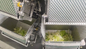 Automatyczna maszyna do pakowania tacek na warzywa i owoce Wielofunkcyjna maszyna do pakowania przekąsek