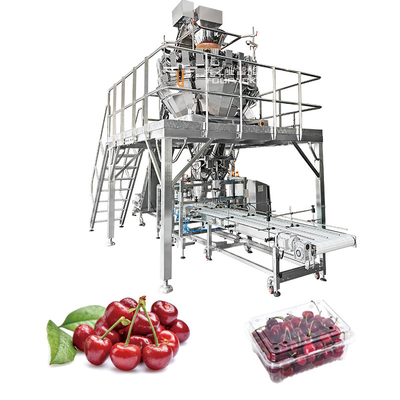 Automatyczna maszyna do pakowania owoców Apple Cherry Tomato Canning Packing Kumquat Tray Packing Machine