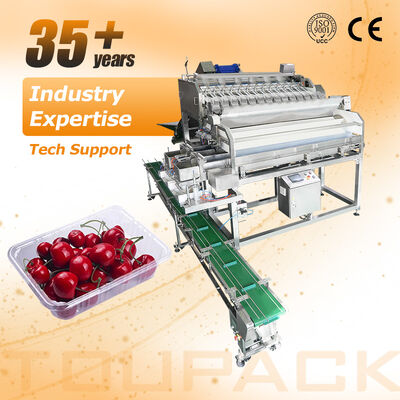 Waga liniowa Automatyczna linia do pakowania tacek z pomidorami wiśniowymi i warzywami z precyzyjnym systemem ważenia