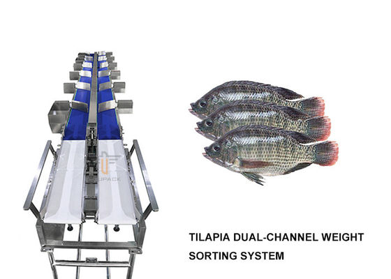 Dwukanałowa maszyna do sortowania wagi tilapia 6 poziomów