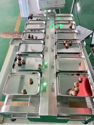 Waga biurkowa Siemens PLC 10 '' HMI ze stali nierdzewnej do warzyw owocowych