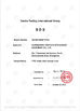 Chiny GUANGDONG TOUPACK INTELLIGENT EQUIPMENT CO., LTD Certyfikaty