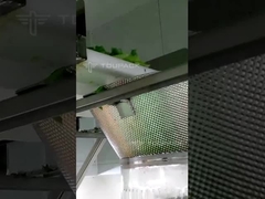 maszyna wielokrotnego ważenia sałat do pakowania