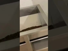 Maszyna do pakowania linijnej ważyczki ziaren kawy