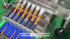 Przemysłowa wieloprzejazkowa maszyna do pakowania worek z wieloprzejazkową wagą kontrolną